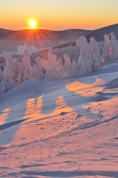 Paese delle meraviglie invernali — Foto Stock