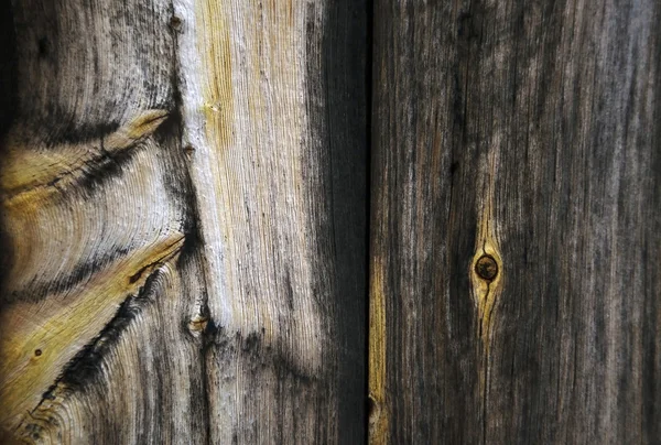 Анотація структури деревини — стокове фото