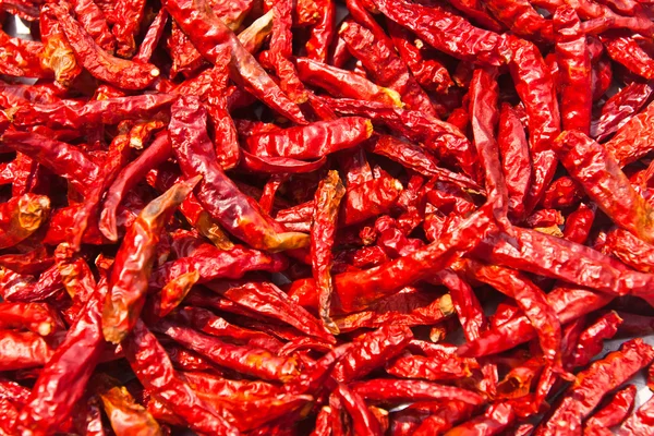 Dried chili background texture — Stock Photo, Image