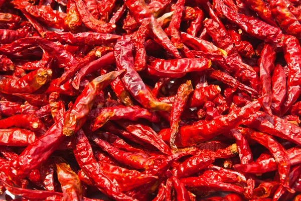 Dried chili — Stock Photo, Image