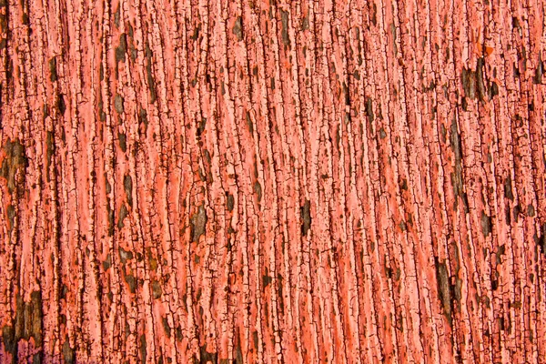 Růžové dřevo — Stock fotografie