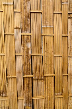 Bamboo background texture clipart