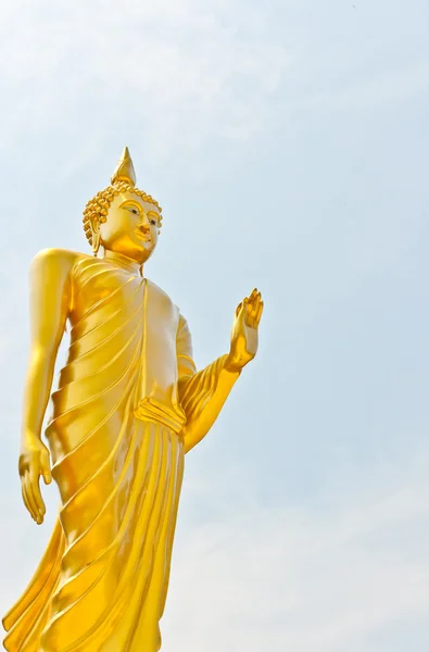 Boeddha is medelevend — Stockfoto