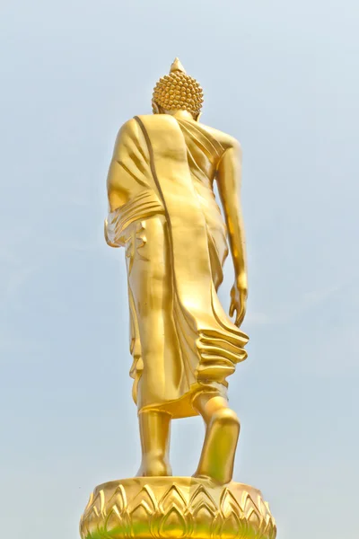 Buda yürüdü — Stok fotoğraf