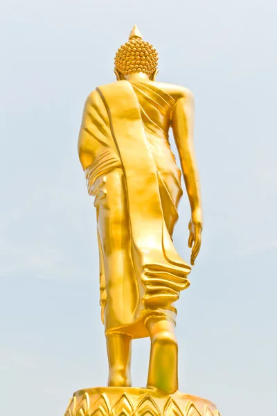 Buddha camminava — Foto Stock