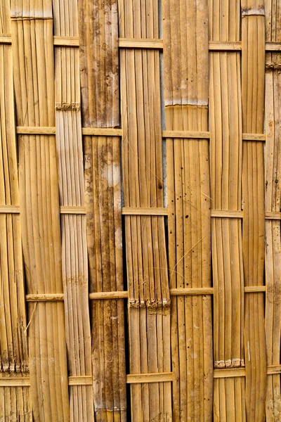 Bambusové pozadí textury — Stock fotografie