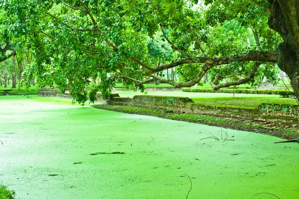 Исторический парк Сукхотай — стоковое фото