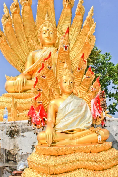 Altın buddha ve güzel mavi gökyüzü — Stok fotoğraf