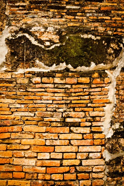 Brick red texture — Stock Photo, Image