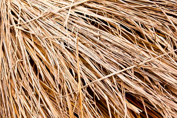 Thatched — Stock Photo, Image