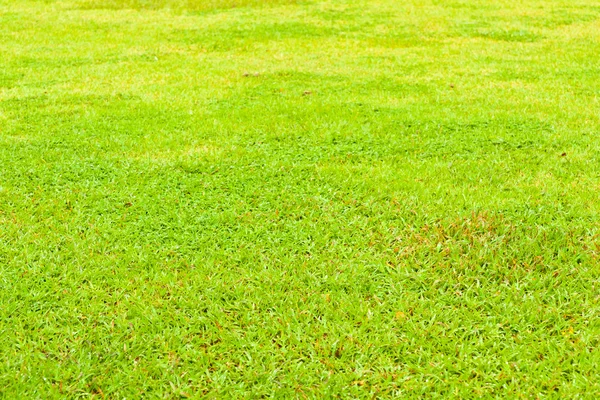 Gras und Wasser — Stockfoto