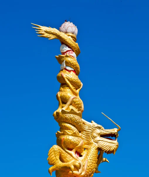 Dragones de oro y azul cielo —  Fotos de Stock