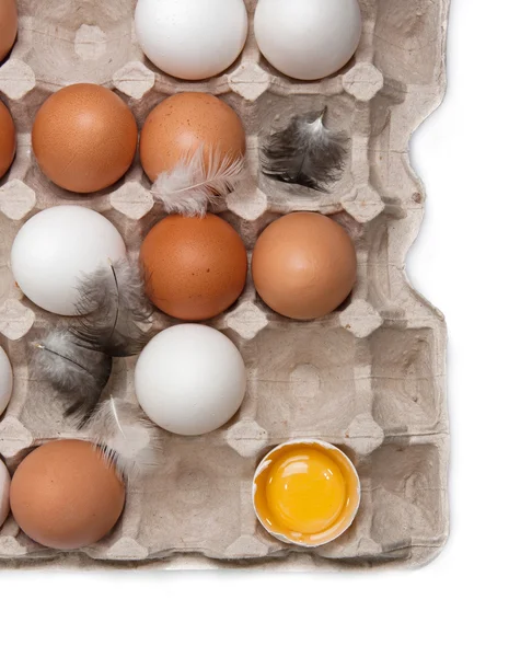 Ouă într-o tavă, izolată — Fotografie, imagine de stoc