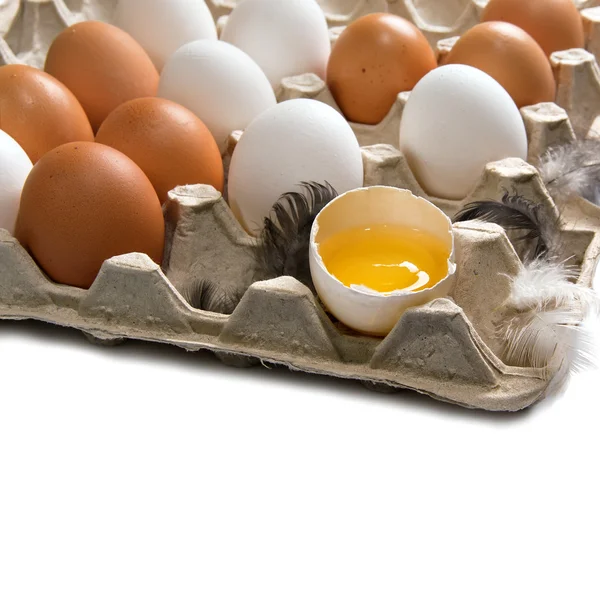 Eier im Tablett — Stockfoto
