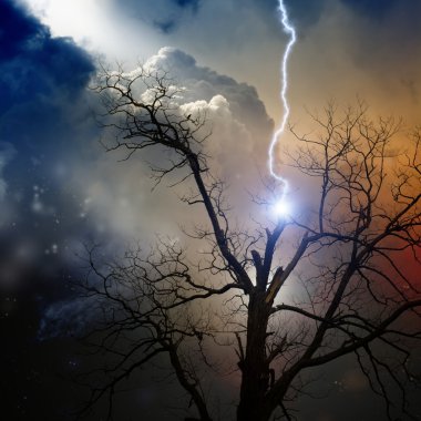 Tree struck by lightning clipart