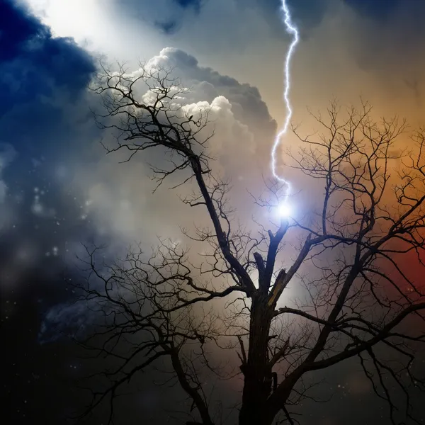 Tree struck by lightning — Stock Photo, Image