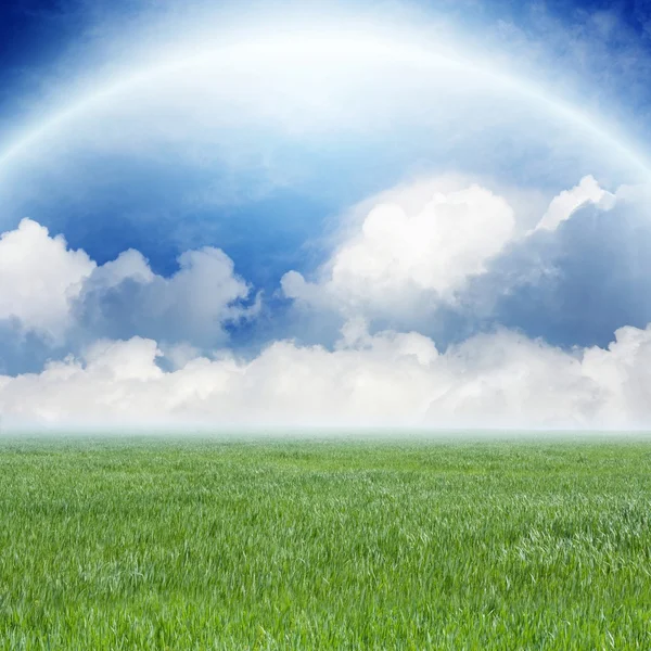 Grönt fält, blå himmel, vita moln — Stockfoto