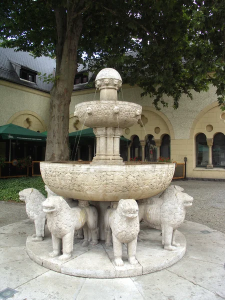 Fontana dei leoni — Foto Stock