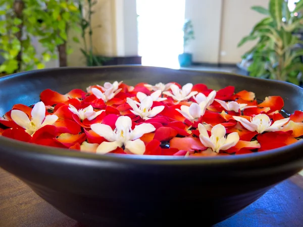 stock image Bowl of flower