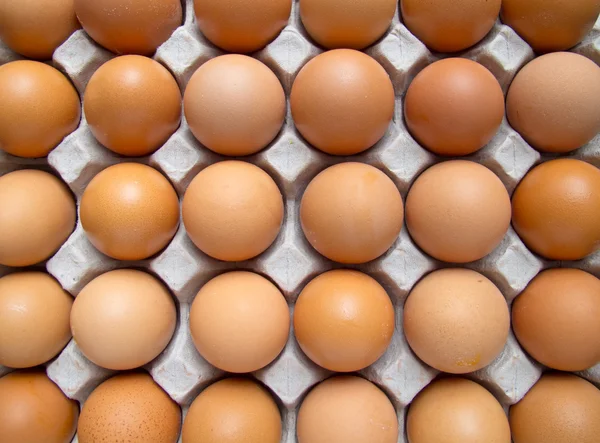 Multe ouă — Fotografie, imagine de stoc