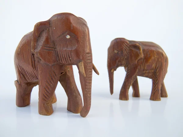 Δύο ελέφαντας — Φωτογραφία Αρχείου