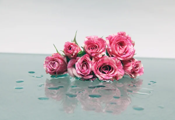 Delicate bouquet of roses — Stock Photo, Image