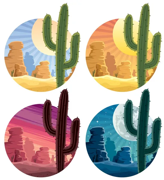 Mexicaanse woestijn — Stockvector