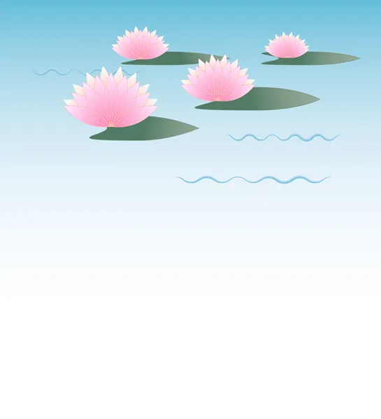 Flores de loto rosa en el agua — Vector de stock