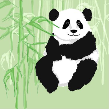 arka plan olarak bambu ormanı ile oturan panda.