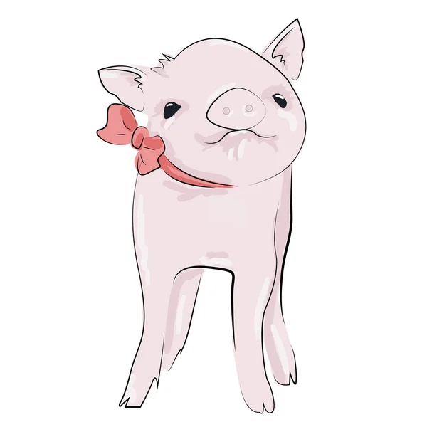 사랑 스러운 작은 애완 동물 돼지, 흰색 절연. — 스톡 벡터