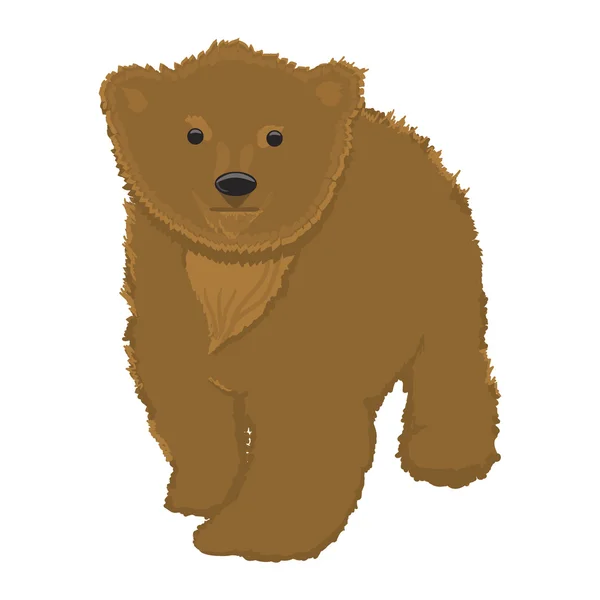 Little bear illustration,isolated on white background. — Stock Vector