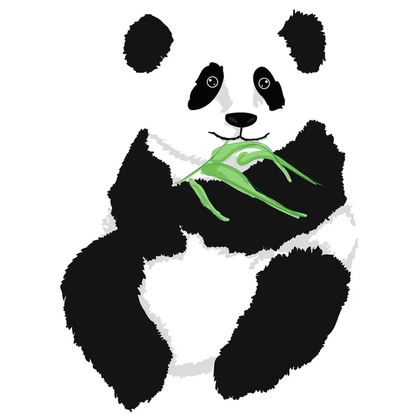 Panda sitting with bamboo branch — Stock Vector
