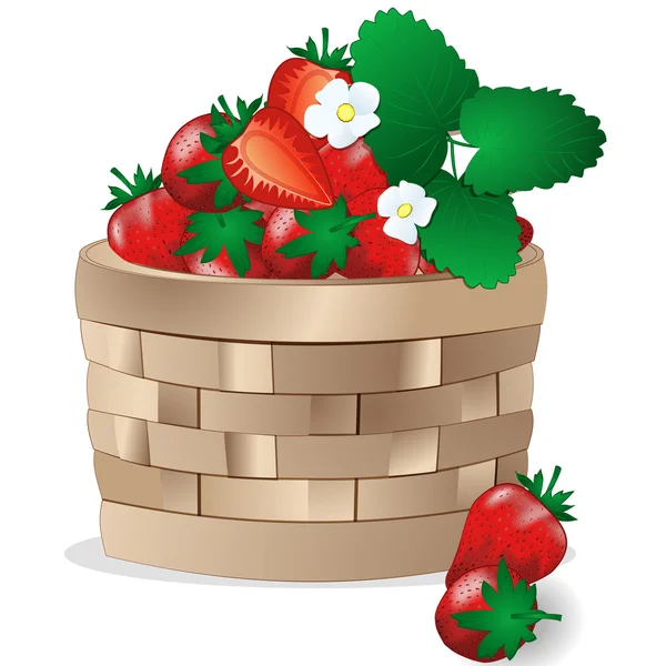Wicker basket with strawberries — Stock Vector