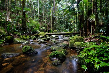 protestocu falls, nsw