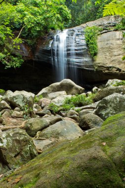 Buderim Falls