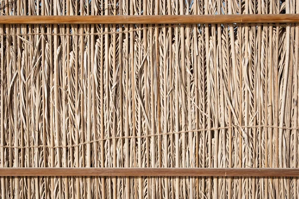 Сухой деревянный забор — стоковое фото