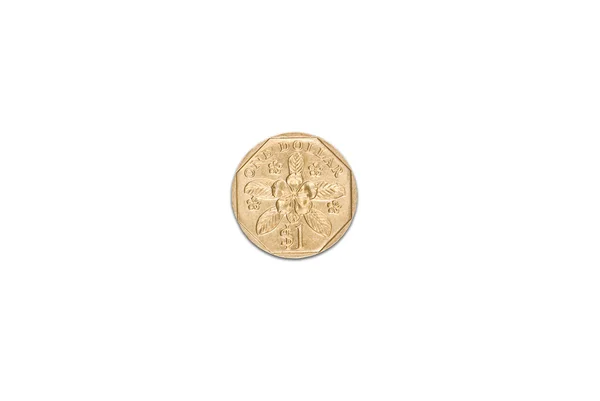 stock image Singapore dollar coin