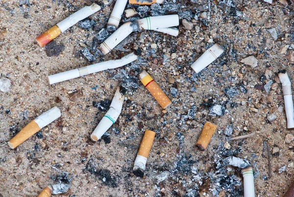 Stock image Lots of cigarette buds on sandy background