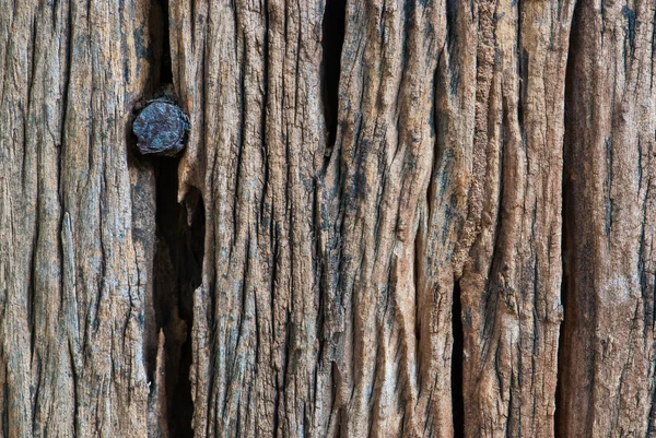 Wooden texture with rusty nail — Stock Photo, Image