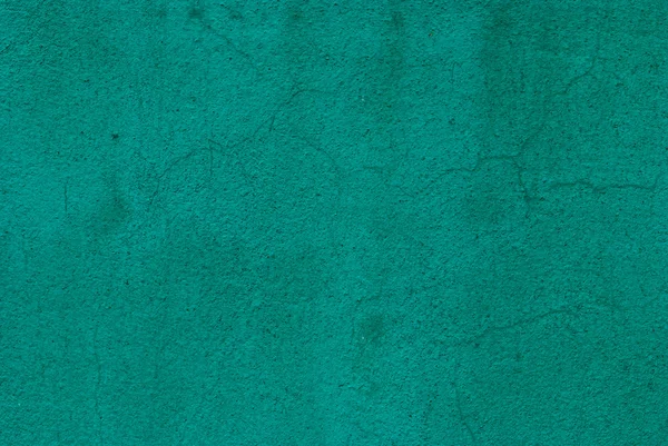 コンクリート壁面の緑化 — ストック写真