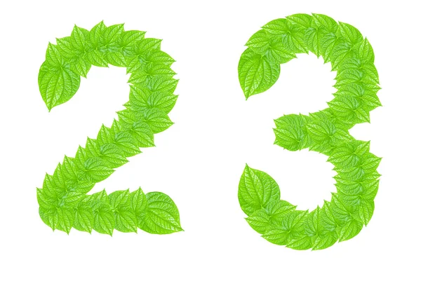 Zahlenschild aus grünen Blättern — Stockfoto