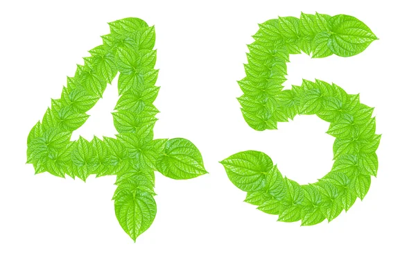 Znak numeru z zielonych liści — Zdjęcie stockowe
