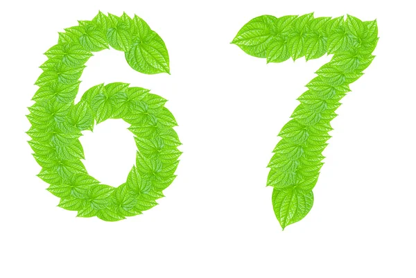 Número sinal feito de folhas verdes — Fotografia de Stock