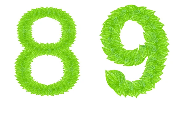 Αριθμητικό σύμβολο από πράσινο φύλλα — Φωτογραφία Αρχείου