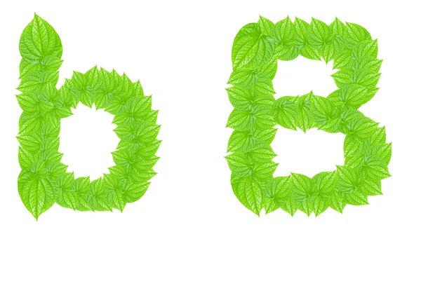 English alphabet made from green leafs — Stock Photo, Image