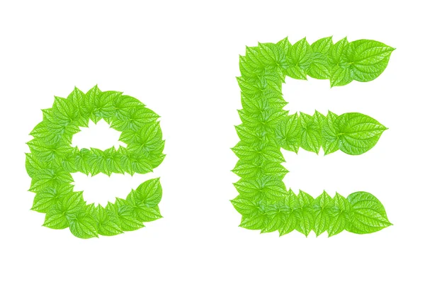 Alphabet anglais à partir de feuilles vertes — Photo