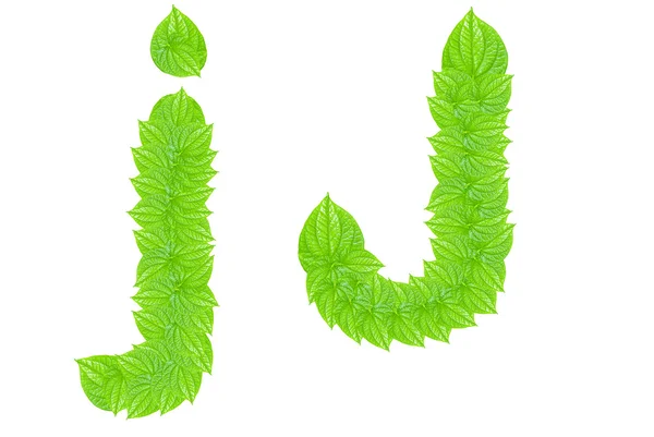 Αγγλικό αλφάβητο από πράσινο φύλλα — Φωτογραφία Αρχείου
