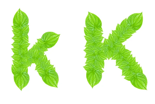 Angol ábécé készült zöld levelek — Stock Fotó
