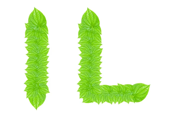 英語のアルファベットの緑から作られた葉します。 — ストック写真
