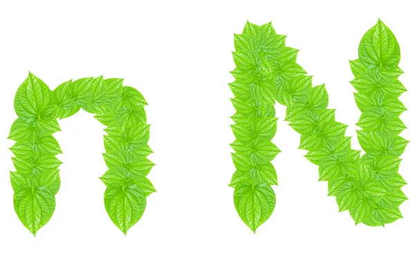 English alphabet made from green leafs — Stock Photo, Image